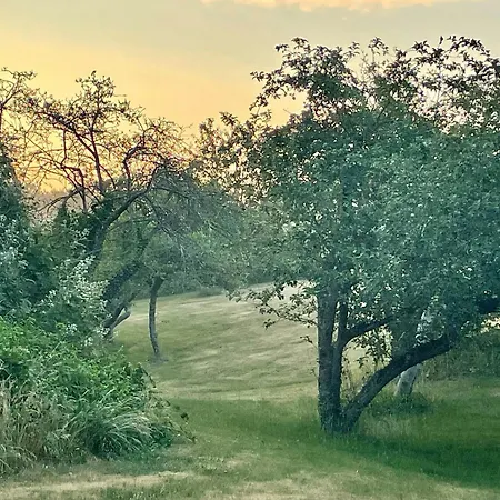 Charming Summer House With Access * Asperup