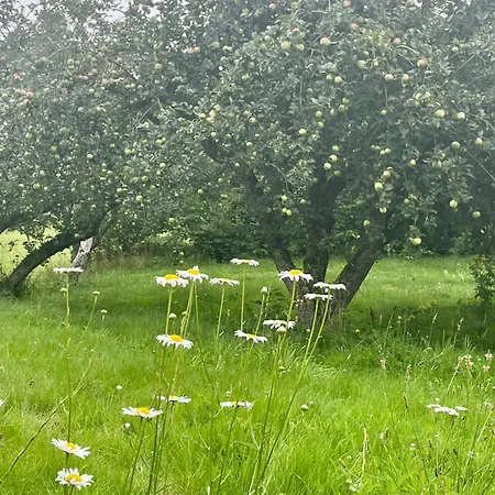 Charming Summer House With Access 펜션